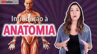 Introdução à Anatomia: posição anatômica e termos de relação | Anatomia etc