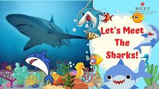 All About Sharks for Kids- Marine Animals- Educational Videos for kids