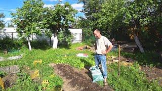 Russians Almost NEVER Plant This Vegetable in Their Garden / Different Russia