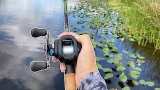 The BIGGEST Bass I've Ever Seen!! (Craziness)