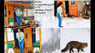 ഐസ് വീഴ്ചയിൽ പുറത്തെ ജോലികളുമായി ഒരു ദിവസം  || SNOW DAY OUTSIDE  VLOG || NEW YORK