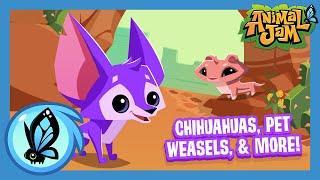 What's Coming to Animal Jam? | September Update