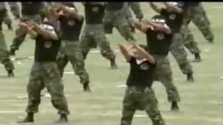 특공무술 & Korean Special Warfare Command