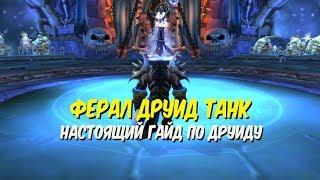 ГАЙД ПО ФЕРАЛ ДРУИДУ ТАНКУ в World of Warcraft Classic