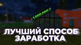 ОГОРОДЫ - ИМБА  НАШЕЛ ЛУЧШИЙ СПОСОБ ЗАРАБОТКА НА РАДМИР РП | (Radmir Rp x Hassle Online) 18