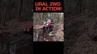 Unstoppable! Ural Gear Up 2WD Blazes Through Mud Bogs #offroad #ural #shorts