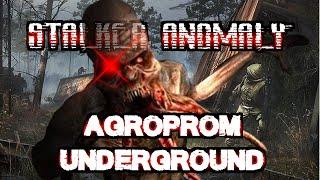 S.T.A.L.K.E.R.: Anomaly 1.5.1 - Agroprom Underground