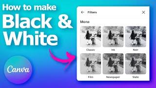 How to make image black and white in Canva free online