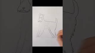 Drawing A Random Dog #2 | Eri's Art