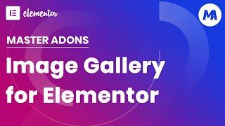 Filterable Image Gallery Master Addons