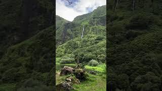 Hidden deep on Flores Island (Azores Archipelago), Poço da Ribeira do Ferreiro