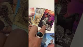 A New Adventure with Full Moon In Aquarius  #tarot #dailytarot