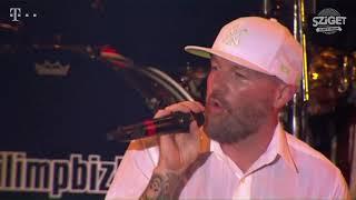 Limp Bizkit - Gold Cobra (Live at Budapest, Hungary, 2015) [Official Pro Shot]