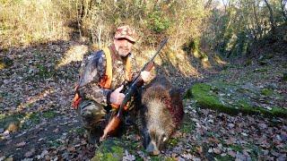 Wild Boar Hunting with Quich Detachable Mount by Contessa in Marcheno, Brescia, Italy