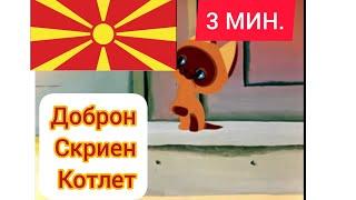 маче по име Вуф доброн скриен котлет