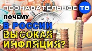 Почему в России высокая инфляция? (Познавательное ТВ, Артём Войтенков)