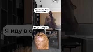 «кися» #футажи #fypシ゚viral #catmemes #cat #котики #мемыскотами #мемы #рекомендации #юмор