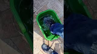 Adidas Terrex AX4 GORE-TEX a prueba Impermeabilidad test #adidas #ax4 #senderismo #terrex