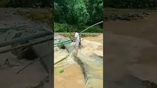 Clearing the branches of the river