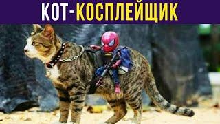 Приколы. КОТ-КОСПЛЕЙЩИК | Мемозг #362