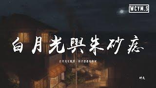 胖虎 - 白月光與朱砂痣「白月光在照耀，你才想起她的好」(可轉伴奏和人聲視頻)【【動態歌詞/pīn yīn gē cí】