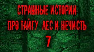 Страшные истории про тайгу, лес  и нечисть. 6 | Мистика Zvook. Олег Ли