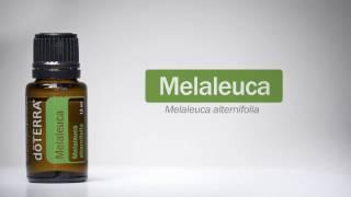 doTERRA Melaleuca Oil