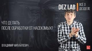 Что делать после обработки от насекомых?