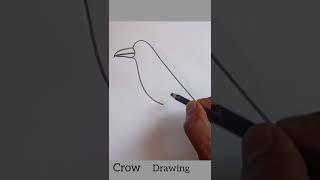 crow drawing easy