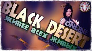 BLACK DESERT ЗАКРЫВАЮТ? ВАЙП СЕРВЕРОВ В РОССИИ! by DjonyDevil