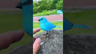 Blue Bird toy simulation electric singing bird can call and move#kibtoy #toy #cute #funnytoys