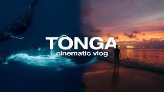 7 Days in Tonga: The Kingdom of Whales | Cinematic Vlog