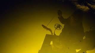 Bowfin, Beavers and Bloopers... Who forgot the gas!