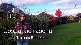 Создание газона осенью.
