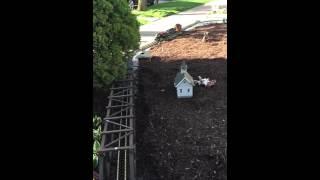 JJ&J garden railroad g scale