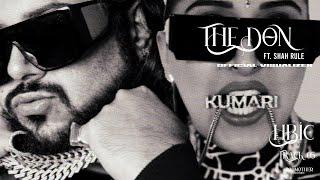 RAJA KUMARI - THE DON FT. SHAH RULE (OFFICIAL VISUALIZER)