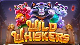 .30 bet brings a big win | Wild Whiskers | Chumba casino