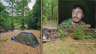 Camping In A Southern Cypress Forest And Unexpected Hogs Show Up At Night