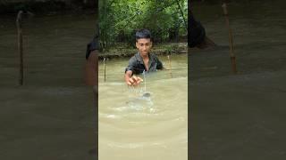 Unbelievable Bamboo Fishing Trapping System Video#fishing#fish_trap#shorts