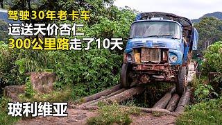 紀錄片：單身爸爸為養活兒子，駕駛卡車運送天價杏仁，穿越300公里叢林，走了10天10夜#紀錄片 #纪录片解说 #因纽特人#致命的路程 #阿拉斯加 #好奇零零漆 #边缘纪录片#抓马纪录片