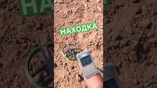  #deus2 #находка #кладоискатель #коп #металлоискатель #metaldetecting #копатель #монета #клад #xp