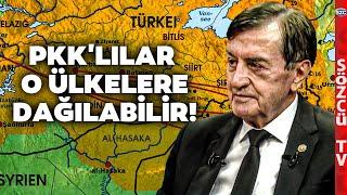 Silah Bırakan PKK'lılar O Ülkelere Gidebilir! Osman Pamukoğlu Açıkladı! Şoke Edecek Barzani Detayı