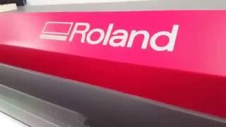 Интерьерный экосольвентный принтер Roland RF-640