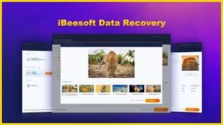 iBeesoft Data Recovery Lifetime Deal: Recover Lost Files from Drives, Cameras & USBs in Minutes!