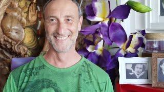 Pure Energy Healing SESSION LIVE