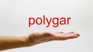 How to Pronounce polygar - American English