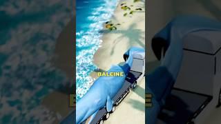 Baleine qui explose sur un camion 