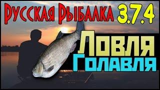 Русская Рыбалка 3.7.4 - Ловля Голавля