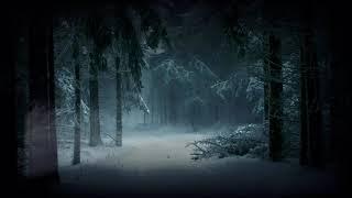 #Футаж ночной зимний лес ◄4K•HD► #Footage winter forest at night