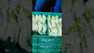 #Eris Dahi#bestmilk Dahi#2025trending #viralvideo #machine #viralvideo #subscribe me #viralvideo #